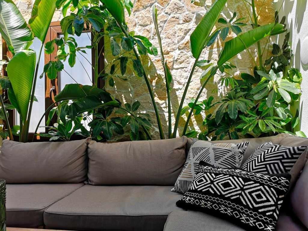 Casa Rural Albireo Rebosante De Luz Y Naturaleza ซานลูการ์ เด กัวเดียนา ภายนอก รูปภาพ